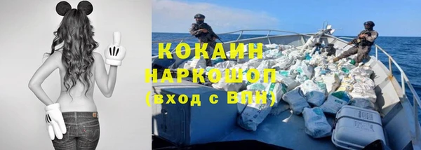 шишки Медногорск