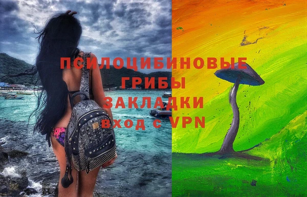 стафф Алзамай